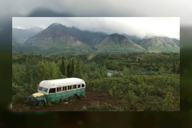 Bir dikenin hikayesi: C. J. McCandless