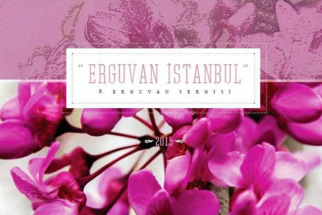 İstanbul'da Erguvan