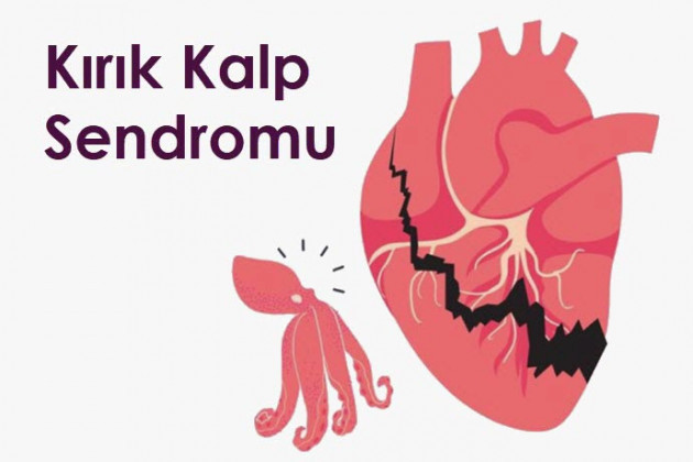 Kırık Kalp Sendromu Nedir? Belirtileri, Nedenleri ve Stresin Kalbe Etkisi