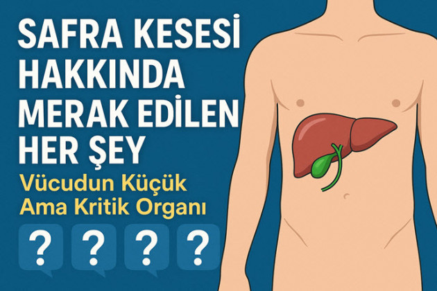 Safra Kesesi Hakkında Merak Edilen Her Şey: Vücudun Küçük Ama Kritik Organı