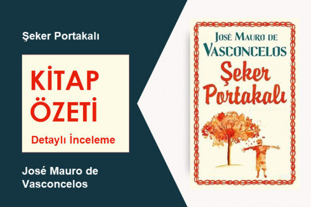 Şeker Portakalı (José Mauro de Vasconcelos): Kitap Özeti, Detaylı İnceleme