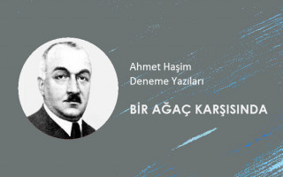 Ahmet Haşim - Bir Ağaç Karşısında