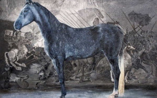 Ali Özhan Güneş – Resim Sergisi