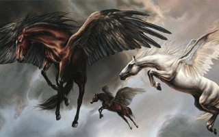 Behzat Feyzullah - Kaybın Rengi