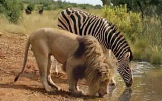 Belgesel 'belge'sel mi?