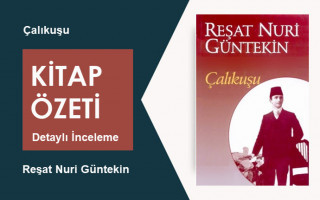 Çalıkuşu (Reşat Nuri Güntekin): Kitap Özeti, İnceleme ve Analiz