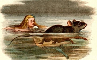 Alice Harikalar Diyarında / Caucus yarışı ve yılan öyküsü