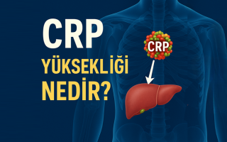 CRP Yüksekliği Nedir? Ne Anlama Gelir, Kaç Olursa Tehlikelidir?