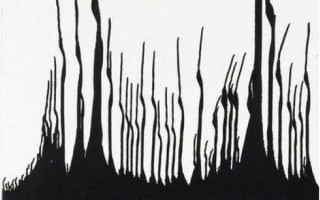 Düşünce gücünün derinliği: Dil, imge, yorum