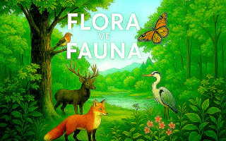 Flora ve Fauna Nedir? Doğanın Kusursuz Dengesi