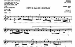 Hastane Önünde İncir Ağacı