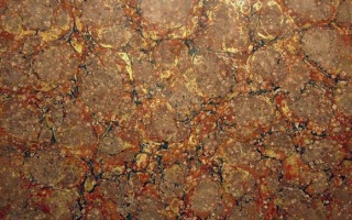 İçinde Çiçek Olmayan Ebrular