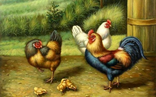 İnatçı Horoz (Ocakbaşı Masalı)