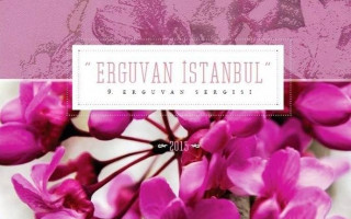 İstanbul'da Erguvan