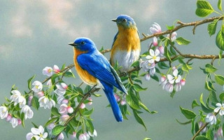 Kaybeden Bulur Kendini