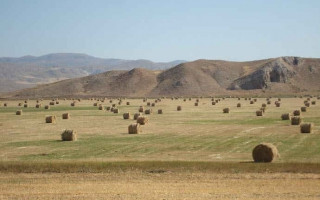 Kim kendini huzur ve güven içinde hissediyor