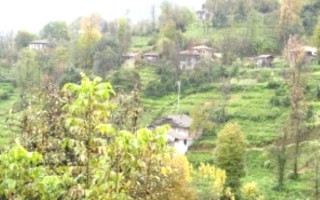 Kırk Beş Yılın Özeti