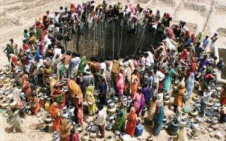 Kırmızı Nepal pandası