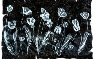 Lâle Açan Varaklar