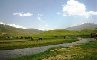 Muliyan Irmağı’nın Kokusu