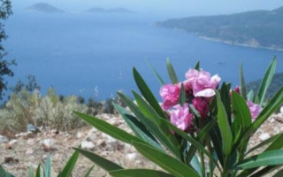 Orda bir köy var uzakta...