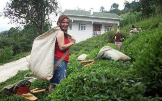 Rize ve Karadeniz Gök Mavi, Yer Yeşil, Denizin Ucu Bucağı Yok