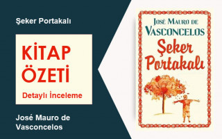 Şeker Portakalı (José Mauro de Vasconcelos): Kitap Özeti, Detaylı İnceleme