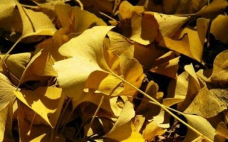 Şikayet ederek mutlu olabilir miyiz?