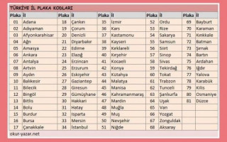 Türkiye'de İllerin Trafik Plaka Kodları
