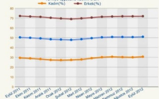 Türkiye’de kadının iş gücüne katılımı