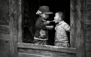 Vefa Nedir?