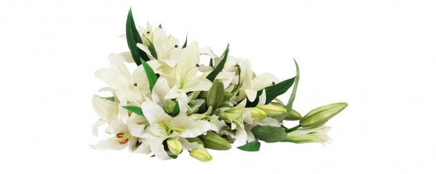 Zambak çiçeklerinden oluşan zarif bir demetin yüksek çözünürlüklü fotoğrafı