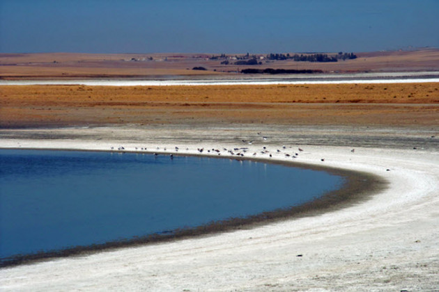 tuz-golu-5921.jpg