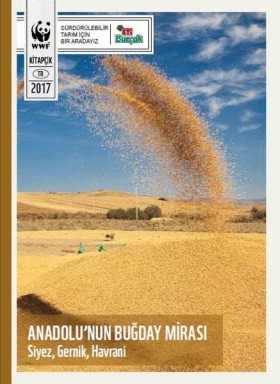 Anadolu'nun Buğday Mirası: Siyez, Gernik, Havrani