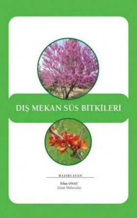 Dış Mekan Süs Bitkileri