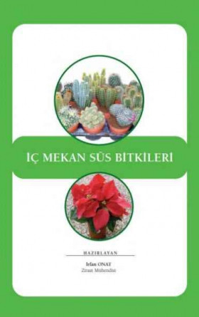 İç Mekan Süs Bitkileri