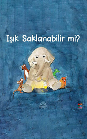 Işık Saklanabilir Mi?