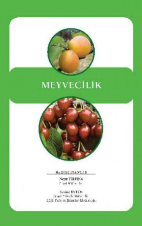 Meyvecilik