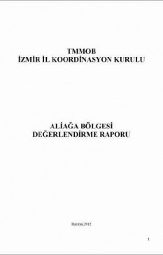 Aliağa Bölgesi Değerlendirme Raporu