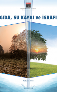 Gıda, Su kaybı ve İsrafı