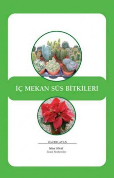 İç Mekan Süs Bitkileri