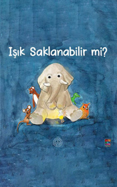 Işık Saklanabilir Mi?