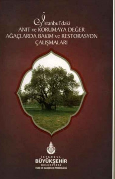 İstanbul'daki Anıt ve Korumaya Değer Ağaçlarda Bakım ve Restorasyon Çalışmaları
