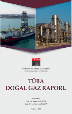 TÜBA Doğal Gaz Raporu