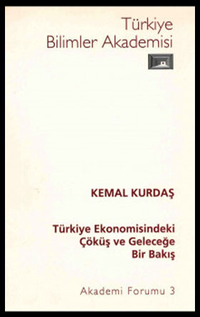 Türkiye Ekonomisindeki Çöküş ve Geleceğe Bir Bakış