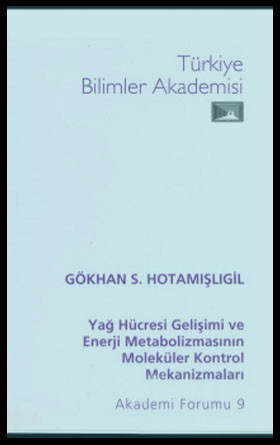 Yağ Hücresi Gelişimi ve Enerji Metabolizmasının Moleküler Kontrol Mekanizmaları