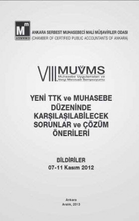 Yeni TTK ve Muhasebe Düzeninde Karşılaşılabilecek Sorunlar ve Çözüm Önerileri