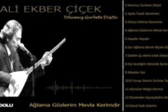 Ali Ekber Çiçek Arşivi