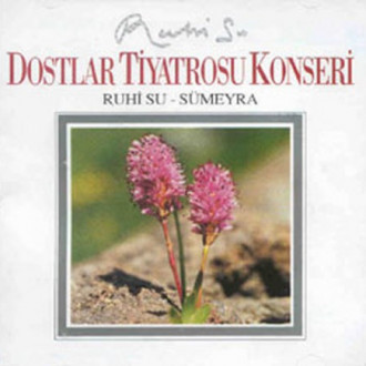 Dostlar Tiyatrosu Konseri