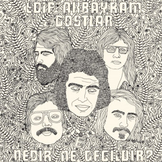 Nedir Ne Değildir